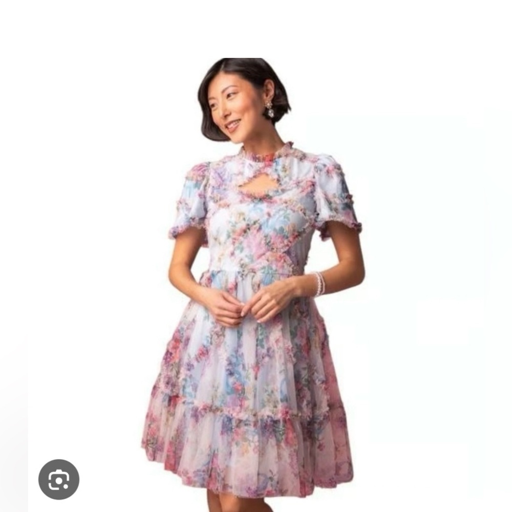 Quinn dress NWT size L